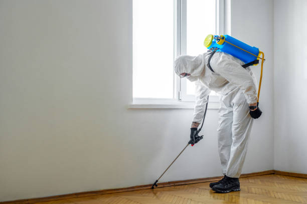 Best Best Pest Control Companies  in Tuscola, IL