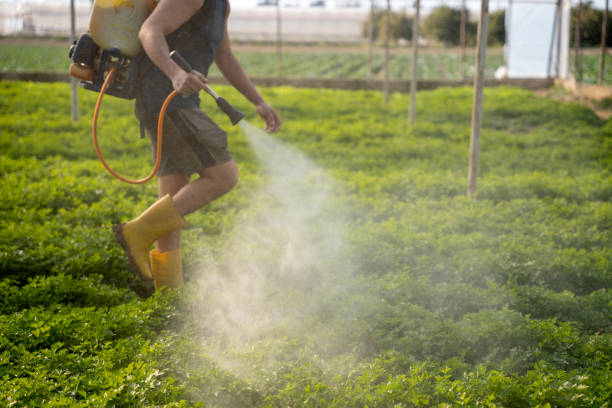 Best Pest Inspection Near Me  in Tuscola, IL