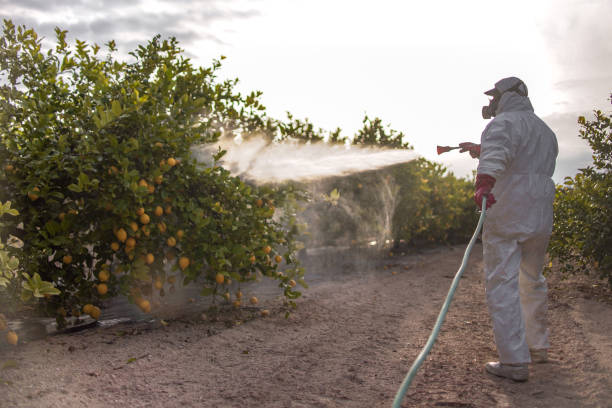 Best Local Pest Control Services  in Tuscola, IL