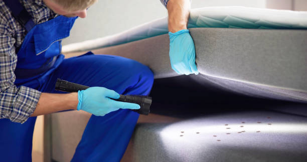 Best Residential Pest Control  in Tuscola, IL